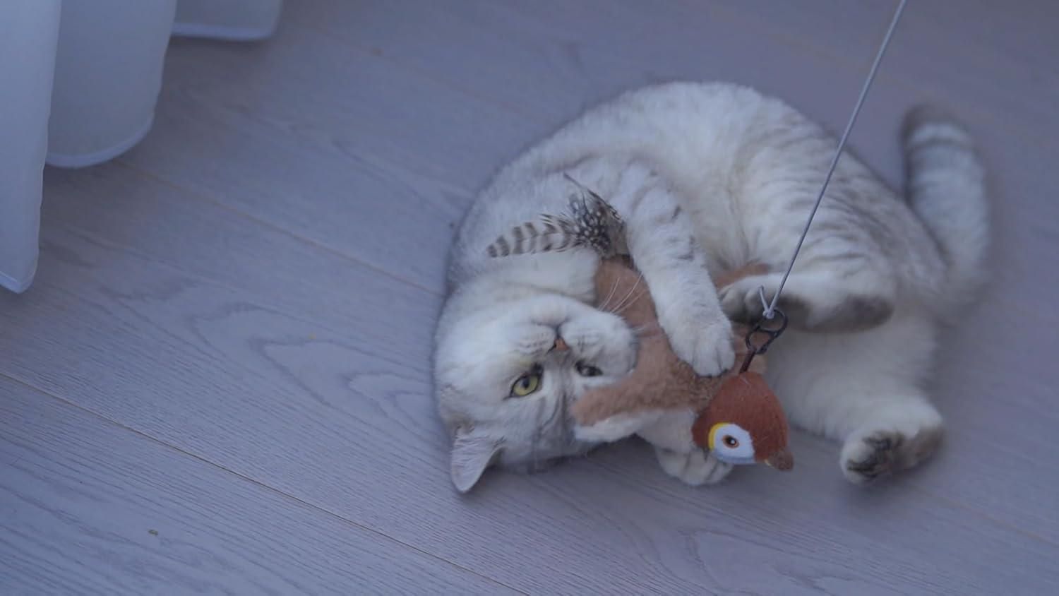 MeowFlap™ Rechargeable Bird Toy